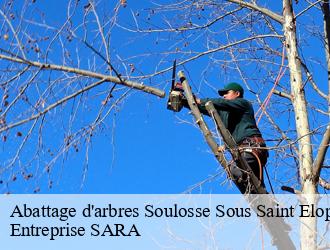 Abattage d'arbres  soulosse-sous-saint-elophe-88630 Entreprise SARA