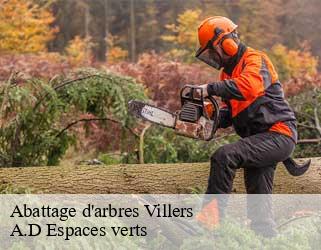 Abattage d'arbres  villers-88500 A.D Espaces verts