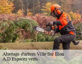 Abattage d'arbres  ville-sur-illon-88270 A.D Espaces verts