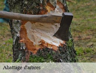 Abattage d'arbres